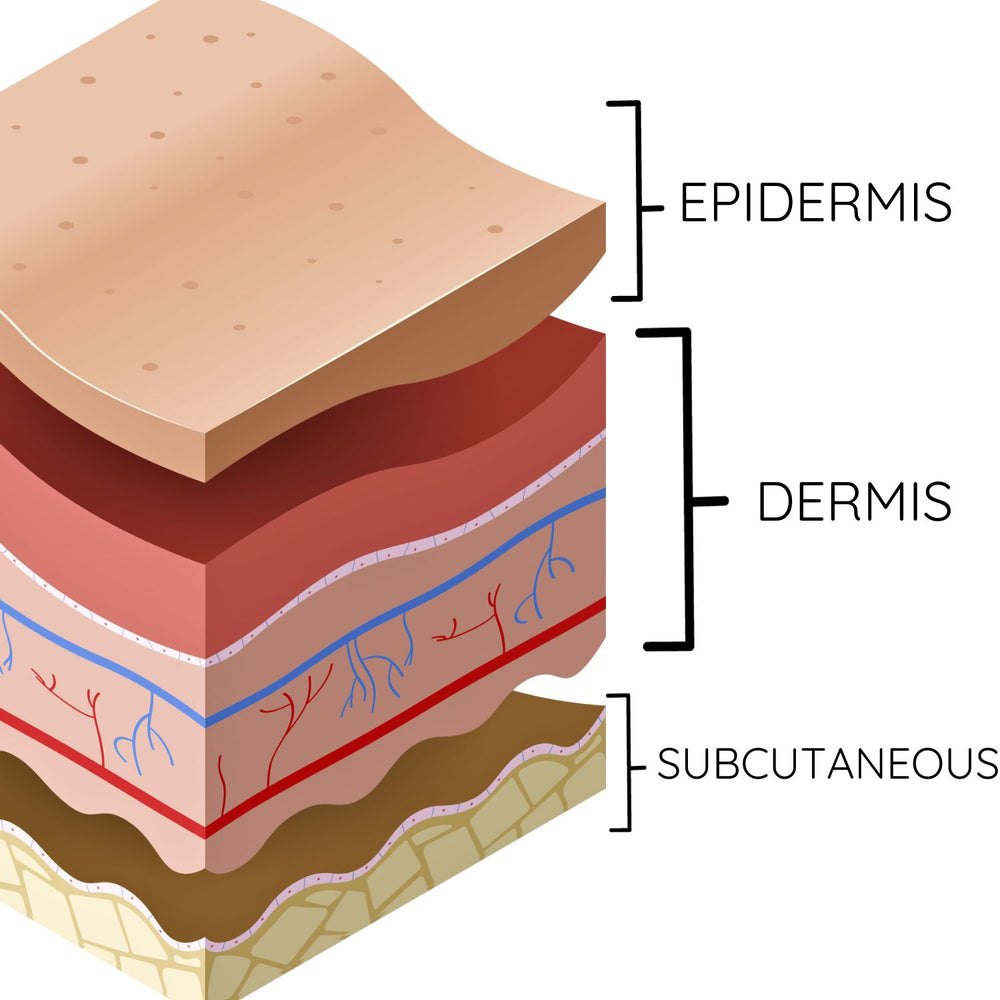 What is ATP?